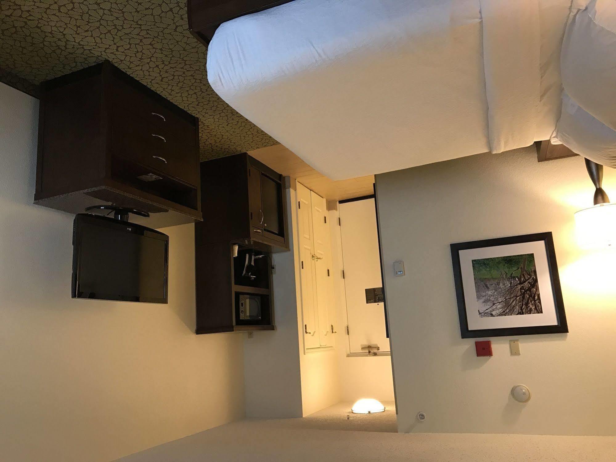 Hilton Garden Inn Orlando East - Ucf Area Alafaya Exteriör bild